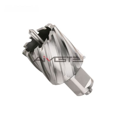 Good price OEM ODM 13pcs HSS Shank Mag Core Drill Bit Annular Cutter Set for Metal Steel Cutting online